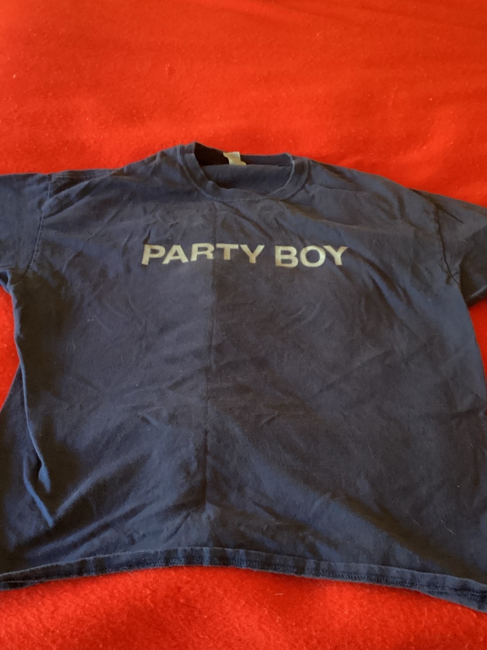Gildan Navy 'PARTY BOY' Graphic Tee
